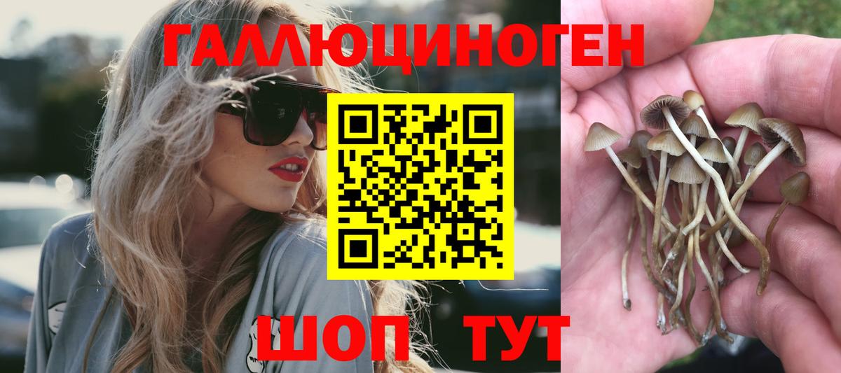 Псилоцибиновые грибы GOLDEN TEACHER  Вход с VPN  дарнет шоп  Гуково 
