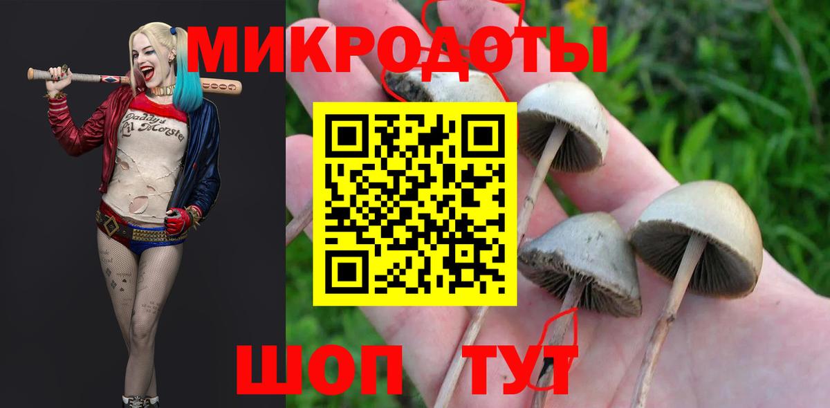 Псилоцибиновые грибы Magic Shrooms Гуково